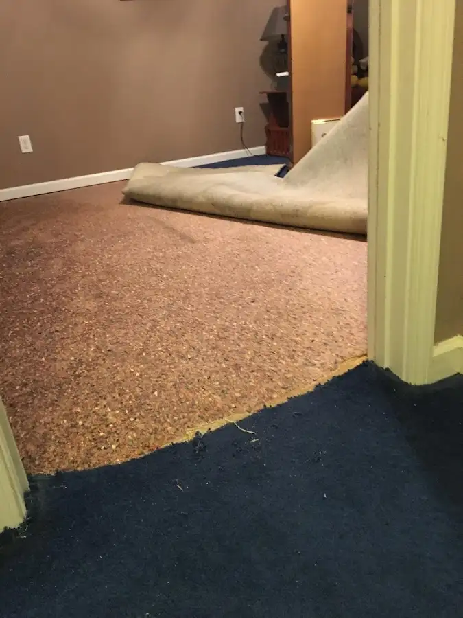 Carpet pad removal revealing water damage during Water Mitigation Services in Lake Zurich